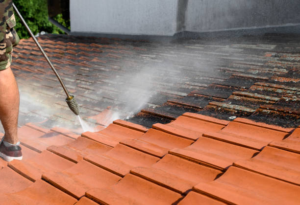 Best Affordable Pressure Washing  in Middleburg, FL