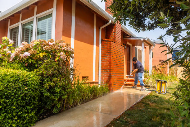 Best Pressure Washing Near Me  in Middleburg, FL